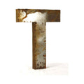Metal Letter T X1101