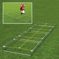 Agility Master 20& High Step Trainer P1789