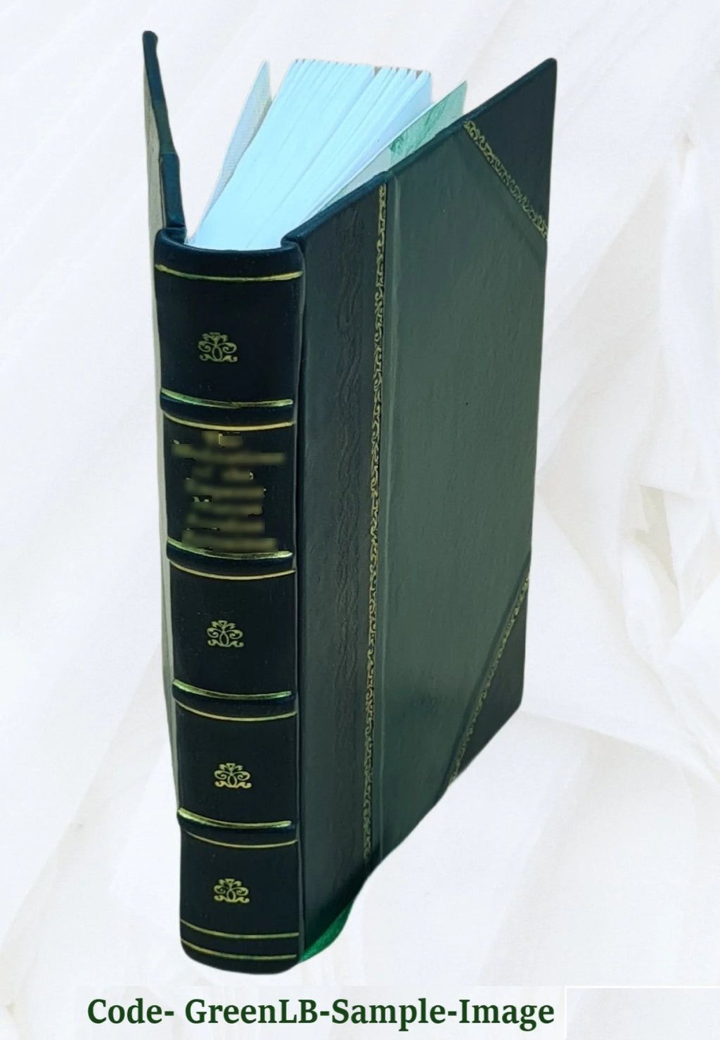 Leather Bound Book N911351