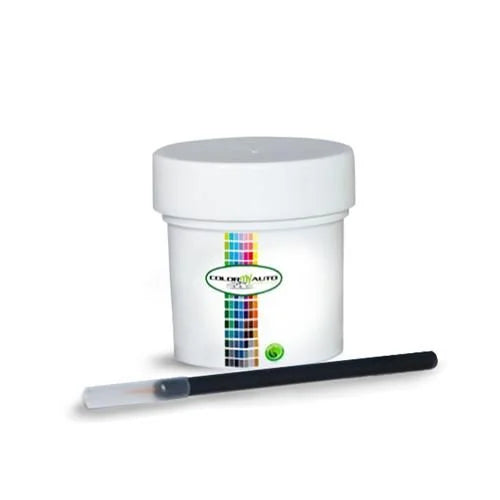 80 Single Stage Automotive Paint 1 Oz Bottle P63941