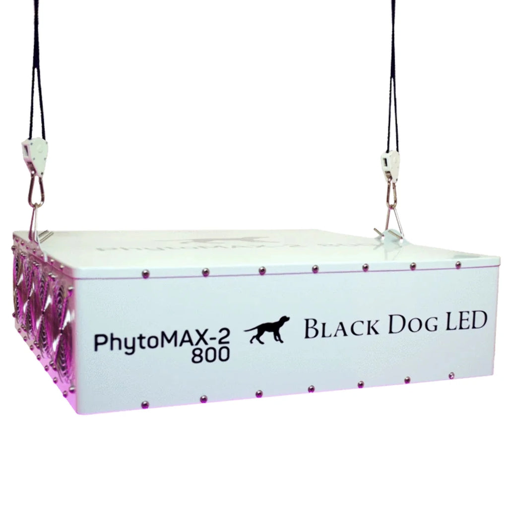 4X4 LED Grow Kit V1403