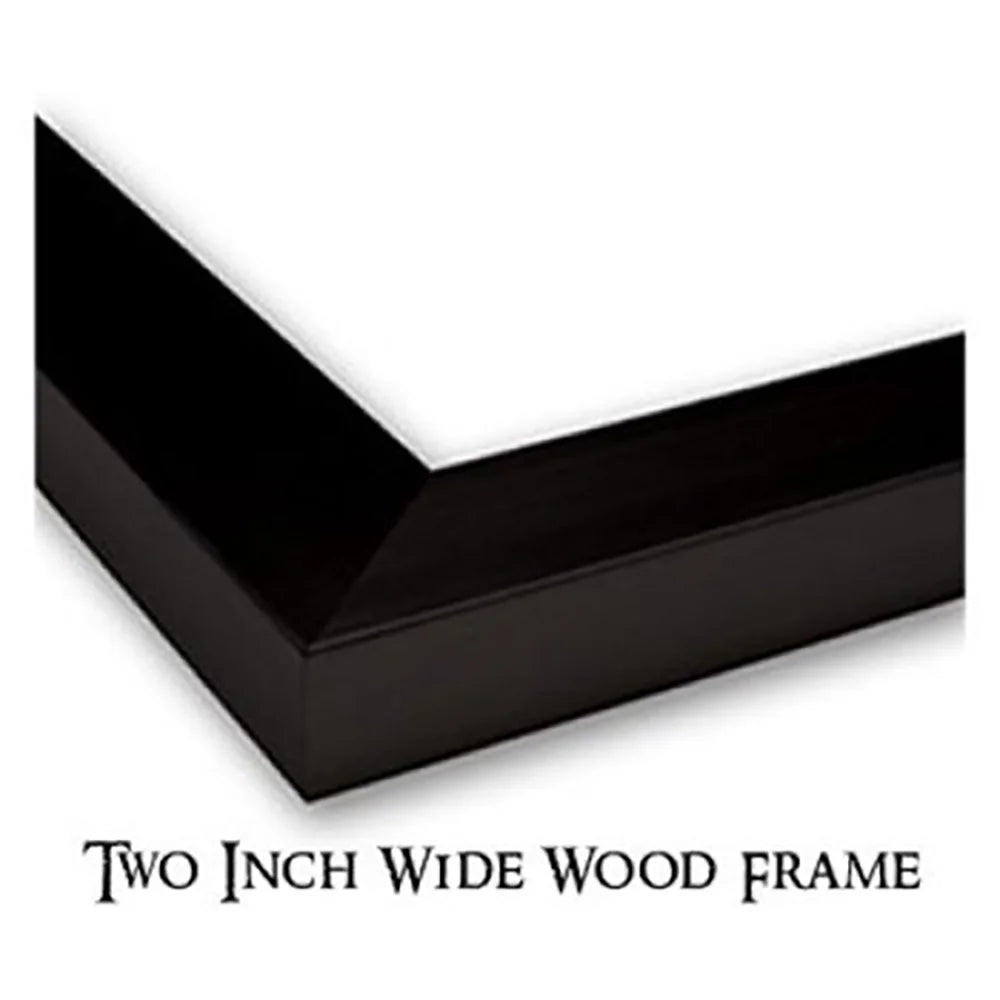 Black Modern Framed Museum Art Print N671
