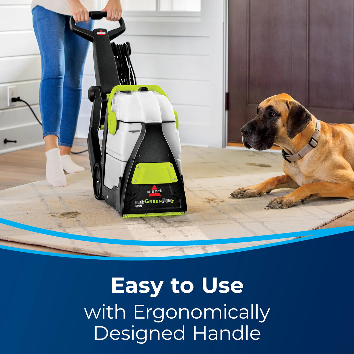 Carpet Cleaner V18092