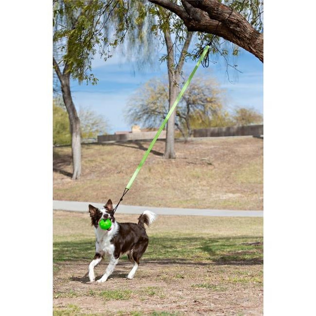 Green Large Tree Tugger Bungee A33127