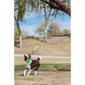 Green Large Tree Tugger Bungee A33127