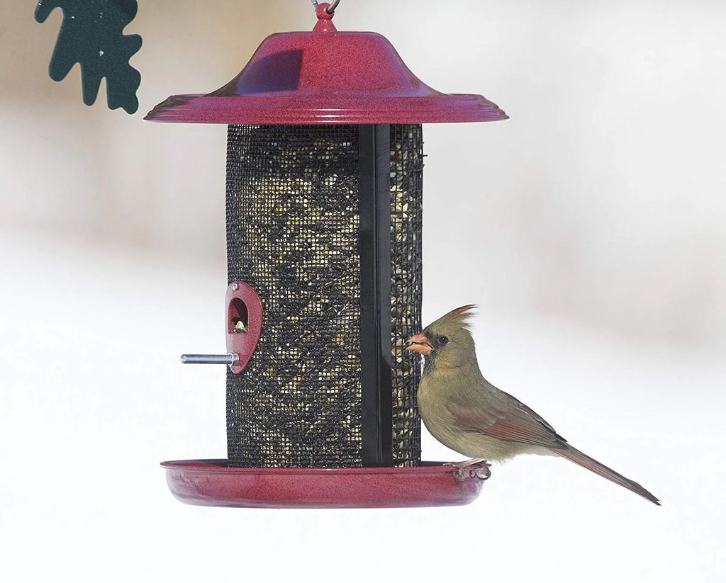 Red Twin Chamber Bird Feeder with Metal Roof K683