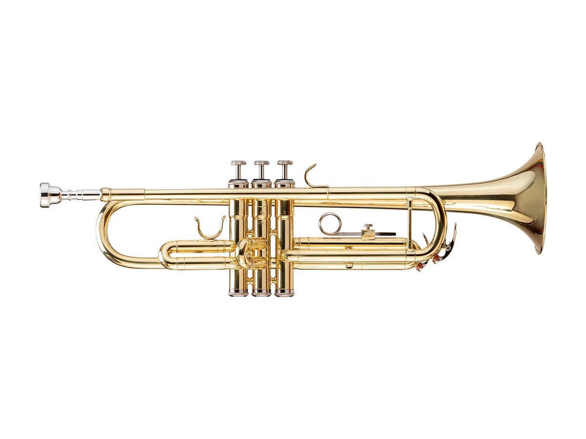Bb Trumpet Outfit with Valve Oil, Music Stand, Trumpet Stand, and Case I98741
