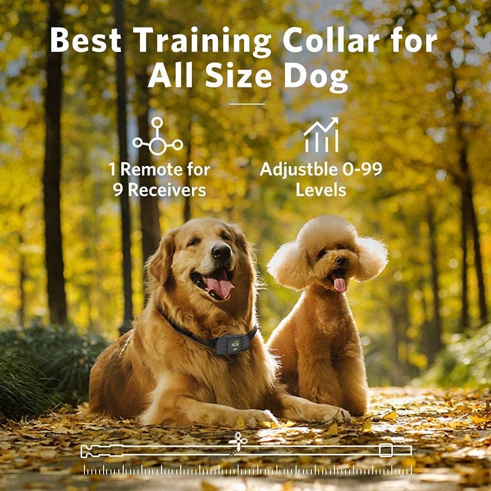 Dog Training Collar with Remote, 1 Count Pack of 2 R82943