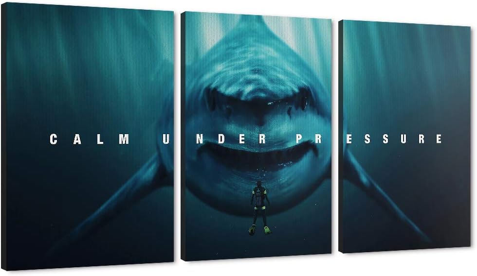 3Pcs Framed Motivational Wall Art Canvas Prints J2896