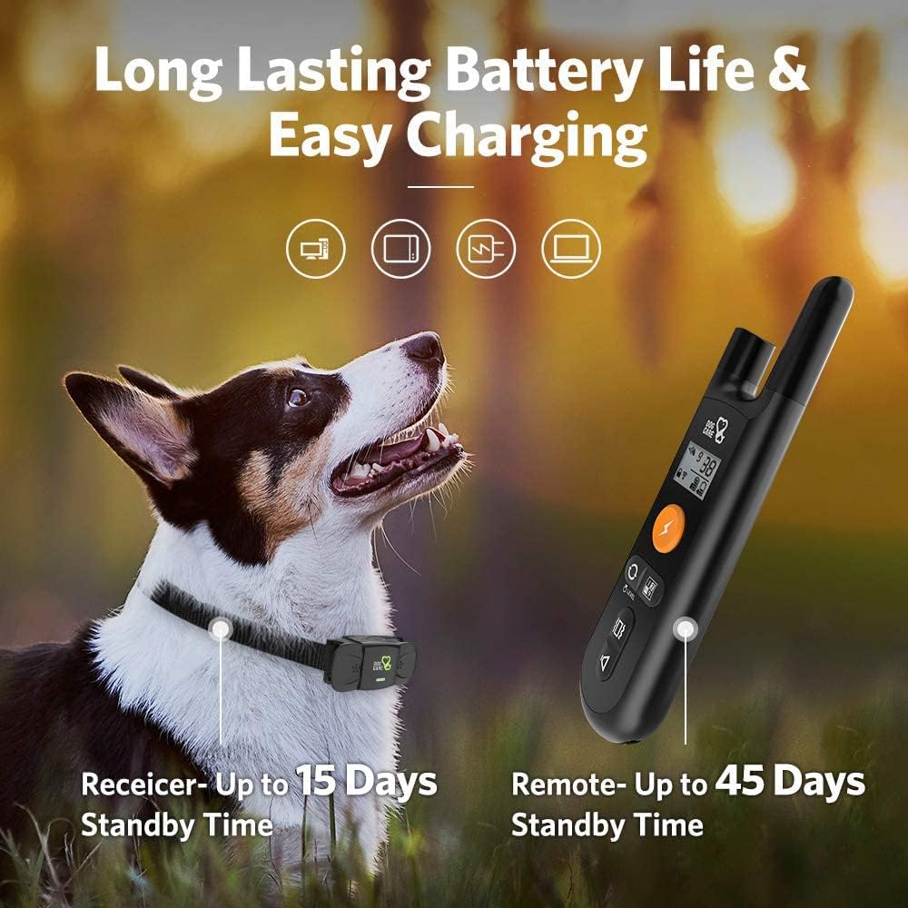 Dog Training Collar with Remote, 1 Count Pack of 2 R82943