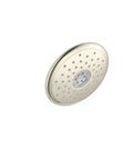 Polished Nickel 4-Function Shower Head C24322