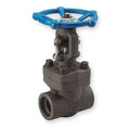 Gate Valve, Class 800, 1/4 in. W220