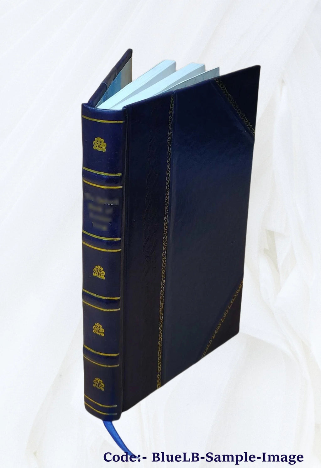 Leather Bound Book N911351