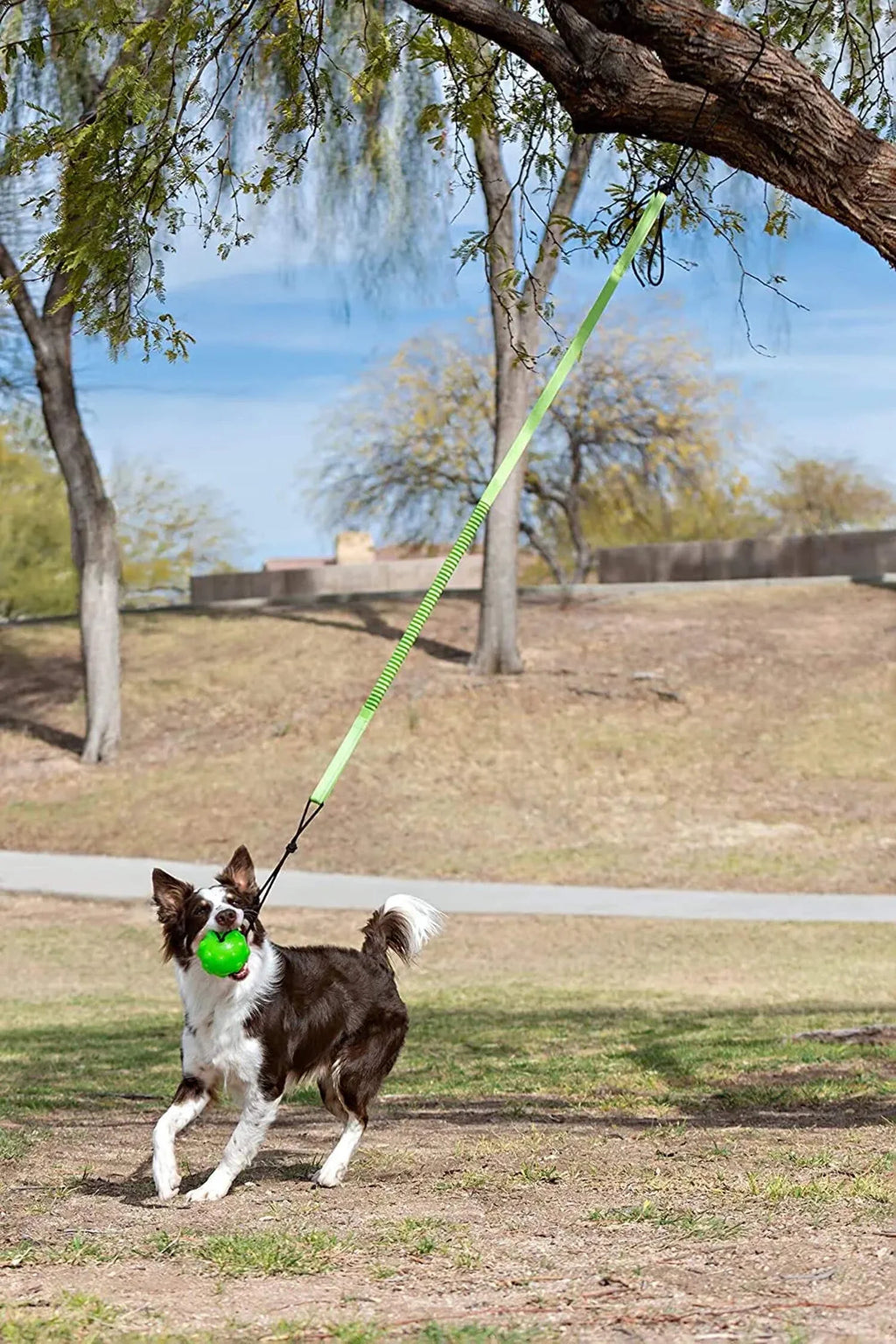 Green Large Tree Tugger Bungee A33127