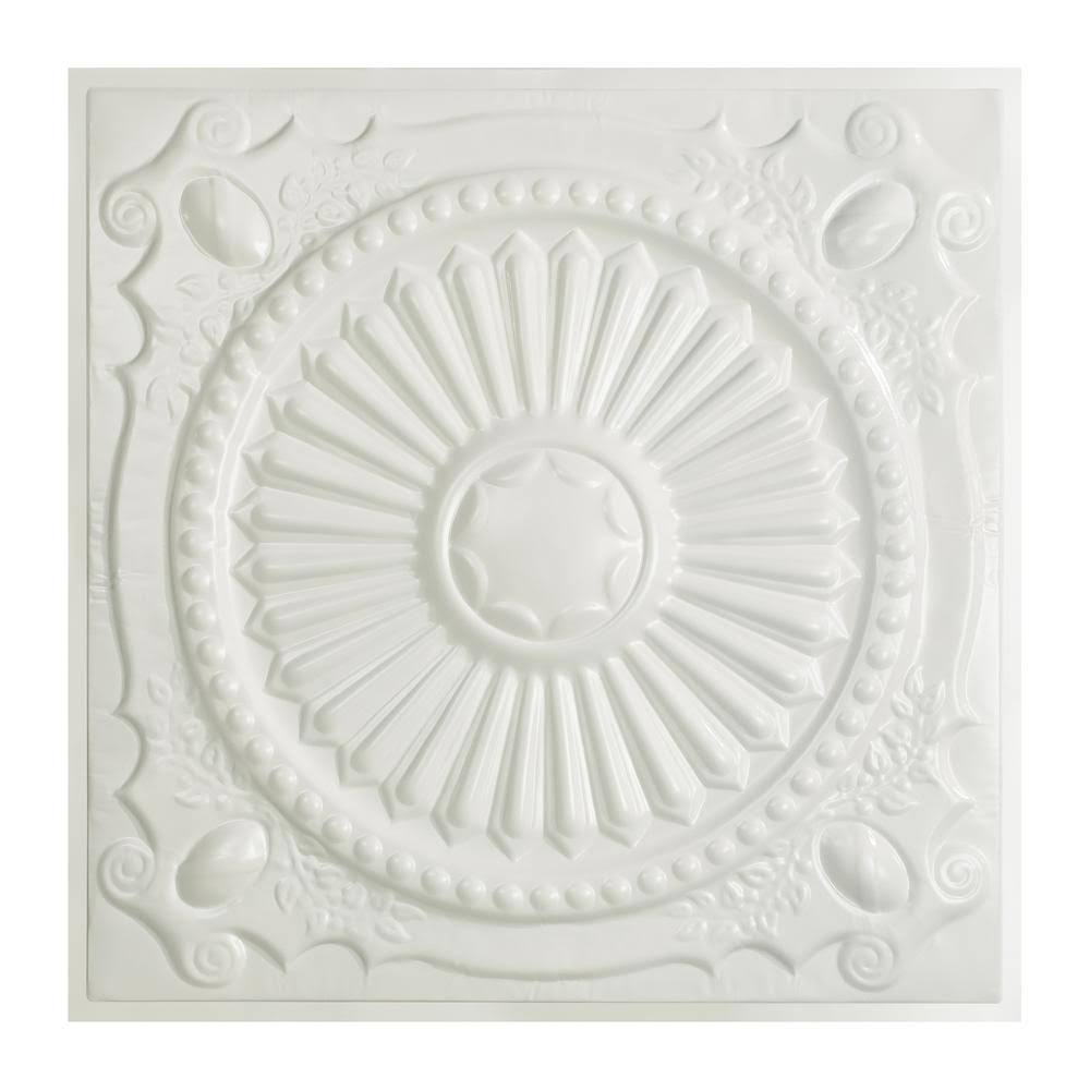 Gloss White Lay-In Tin Ceiling Tile S82272