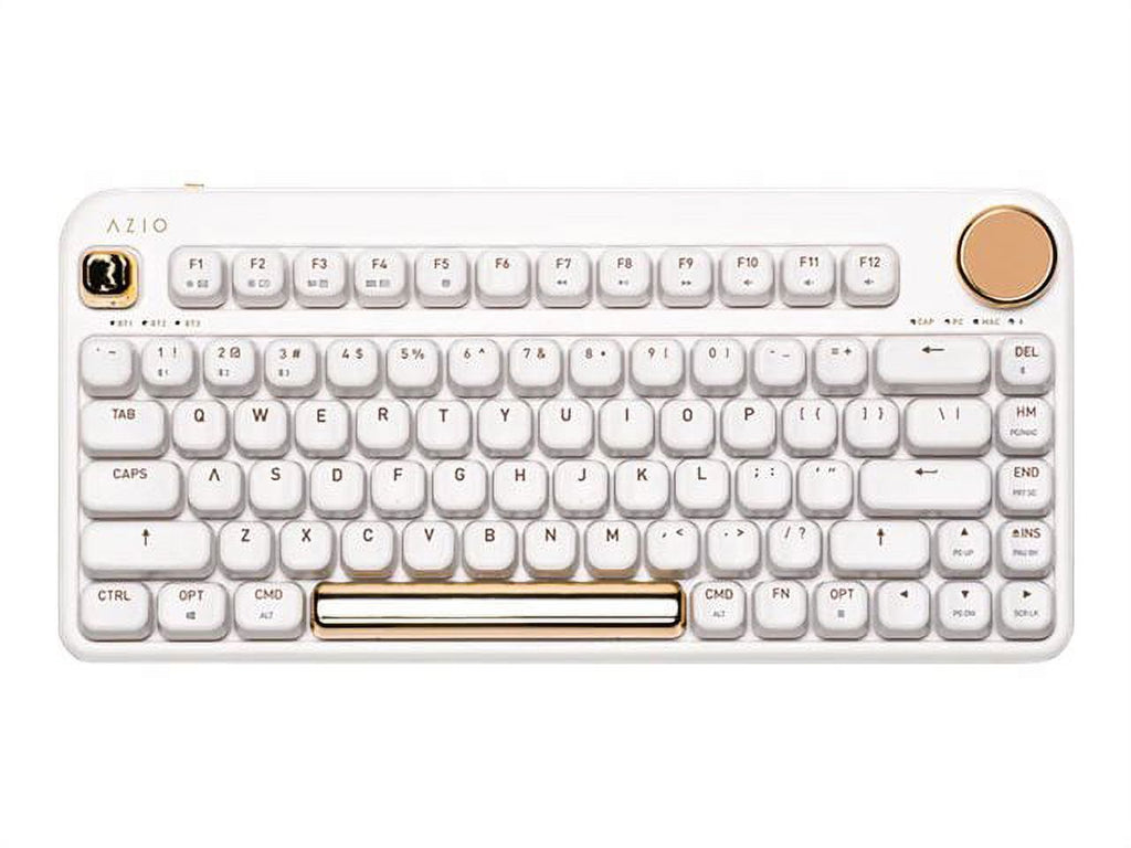 Backlit Wireless Keyboard with Gateron Blue Switch W457899