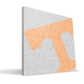 Tennessee Volunteers 16 x16 Canvas A7536