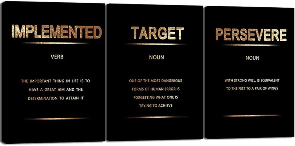 3Pcs Framed Motivational Wall Art Canvas Prints J2896