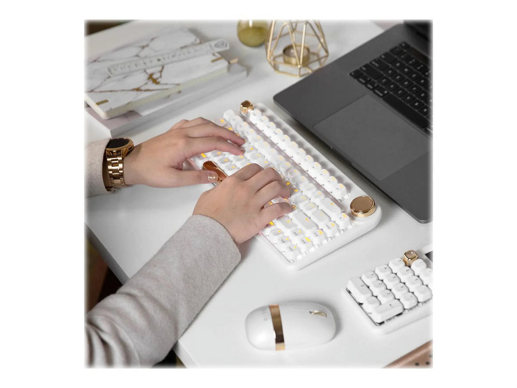 Backlit Wireless Keyboard with Gateron Blue Switch W457899
