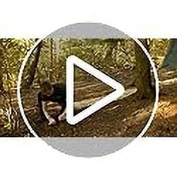 Olive Green Waterproof Rainfly Tarp Tent Shelter Y3033