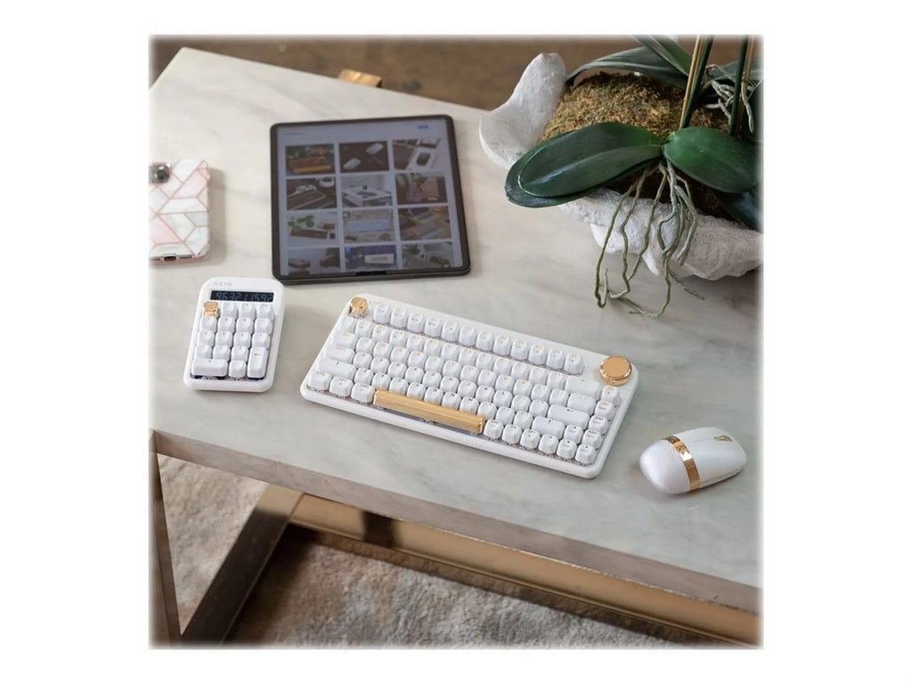 Backlit Wireless Keyboard with Gateron Blue Switch W457899
