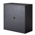 Black Stained Ash Frame Box with Door D208972