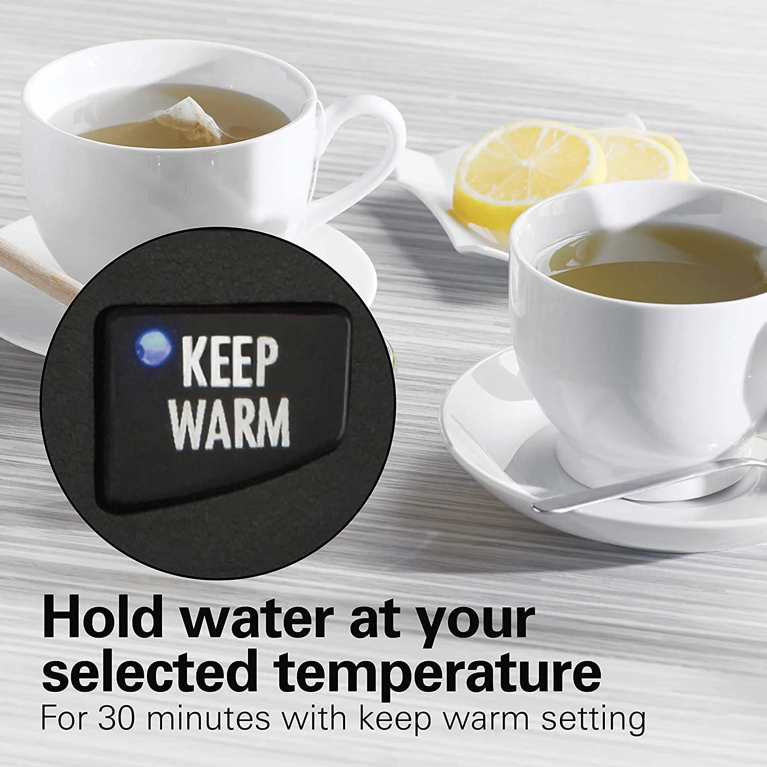 1.7 Liter Variable Temperature Electric Kettle E569