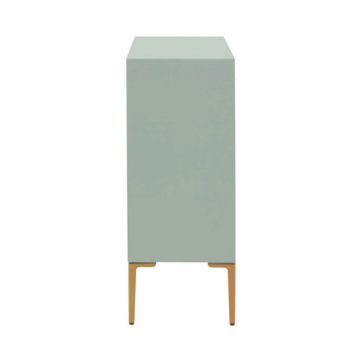 Mint 2-Door Accent Cabinet K58650