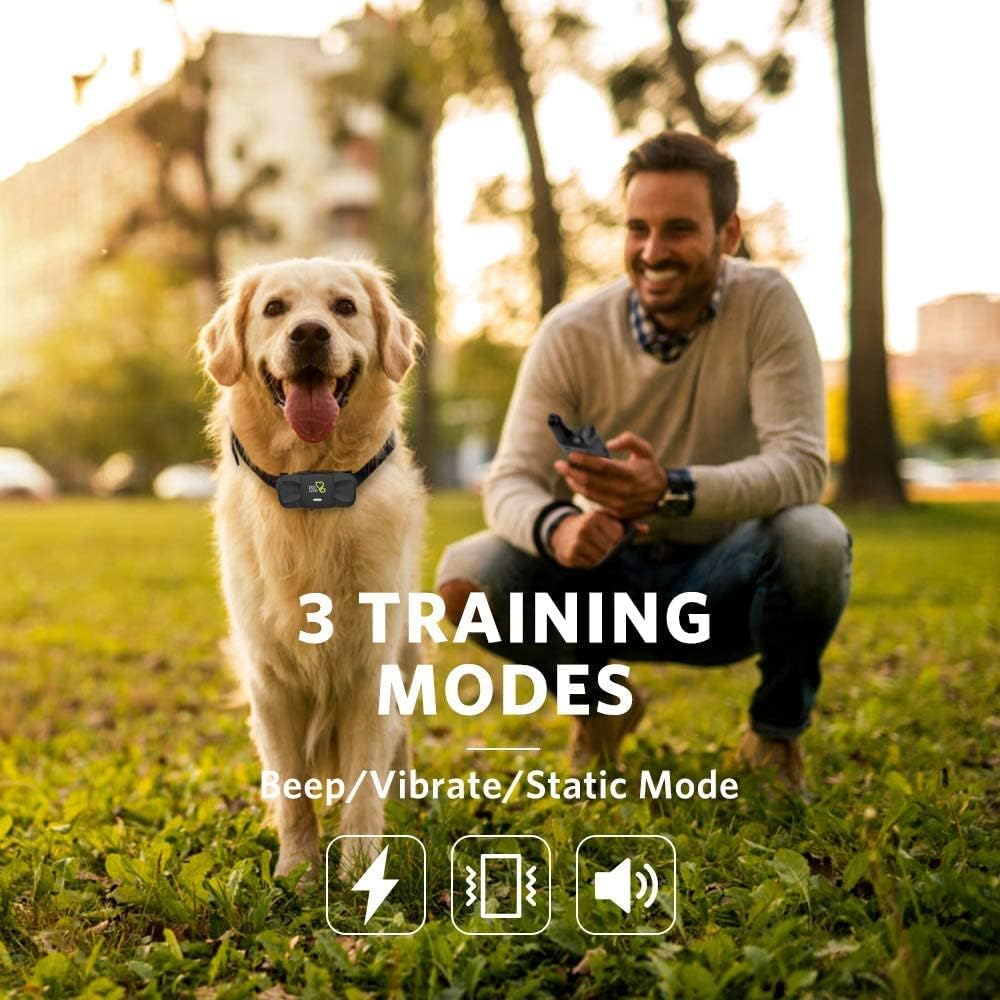 Dog Training Collar with Remote, 1 Count Pack of 2 R82943