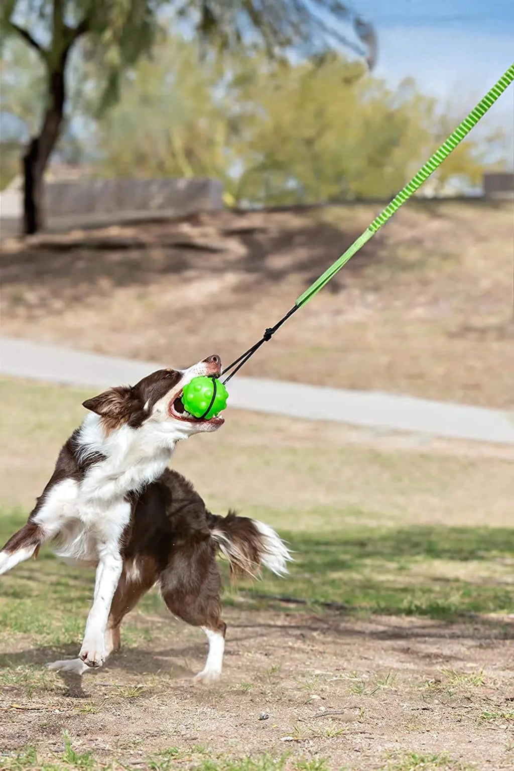 Green Large Tree Tugger Bungee A33127