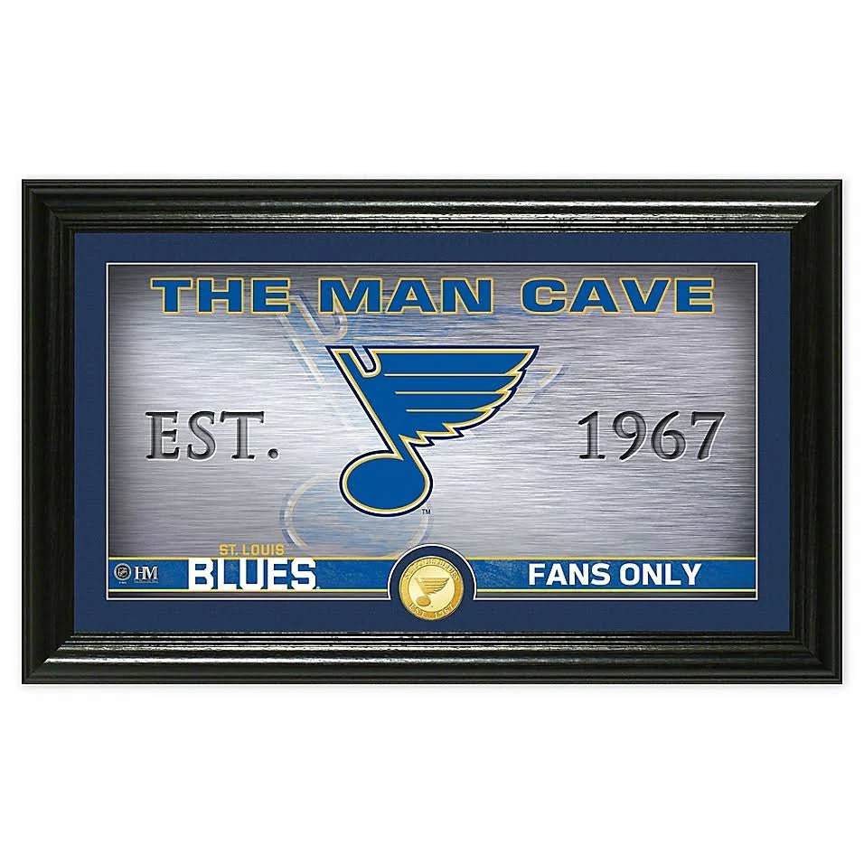 St. Louis Blues Panoramic Photo Y23705